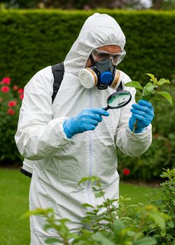 Homem-verificando-quintal-de-uma-casa-para-fazer-controle-integrado-de-pragas.jpg Homem-verificando-quintal-de-uma-casa-para-fazer-controle-integrado-de-pragas.jpg